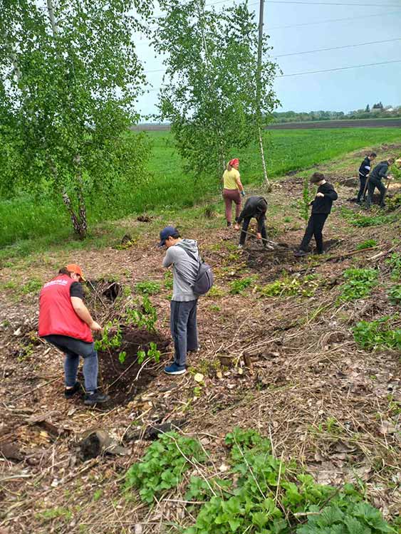 На Гребінківщині висадили алею молодих дерев